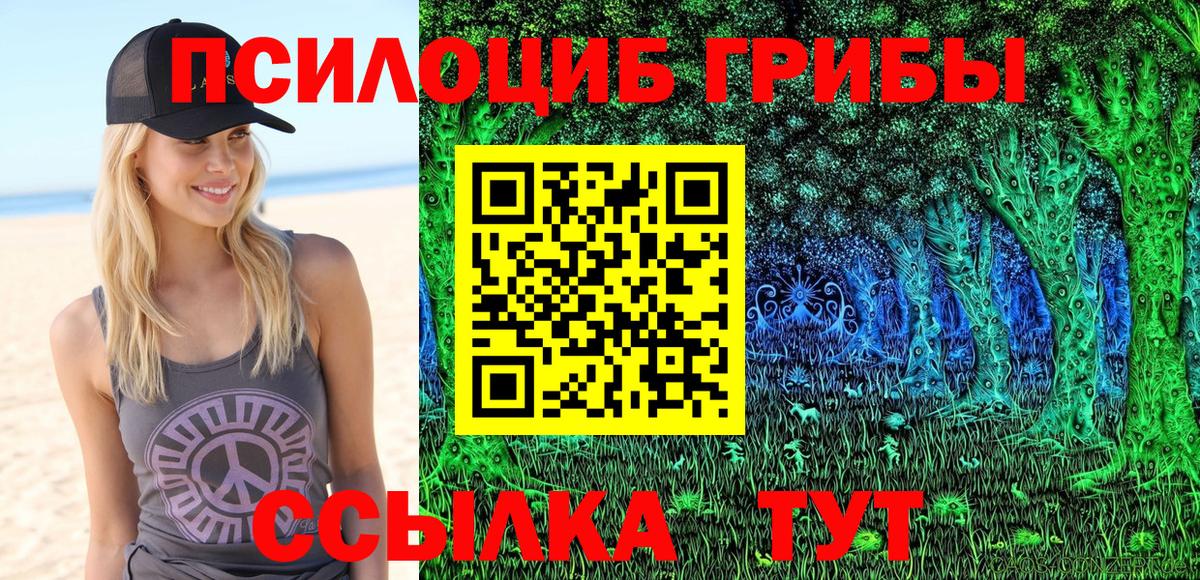 Ижевск  Псилоцибиновые грибы прущие грибы  Вход с VPN  Псилоцибиновые грибы Psilocybine cubensis 